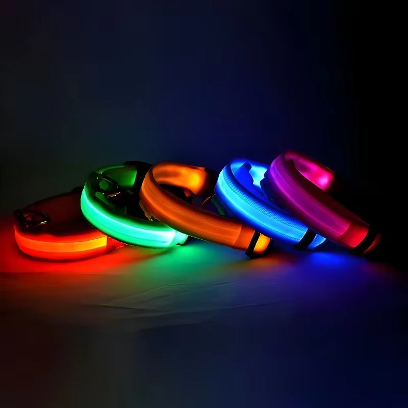 Rechargeable LED Light Up Dog Collar 