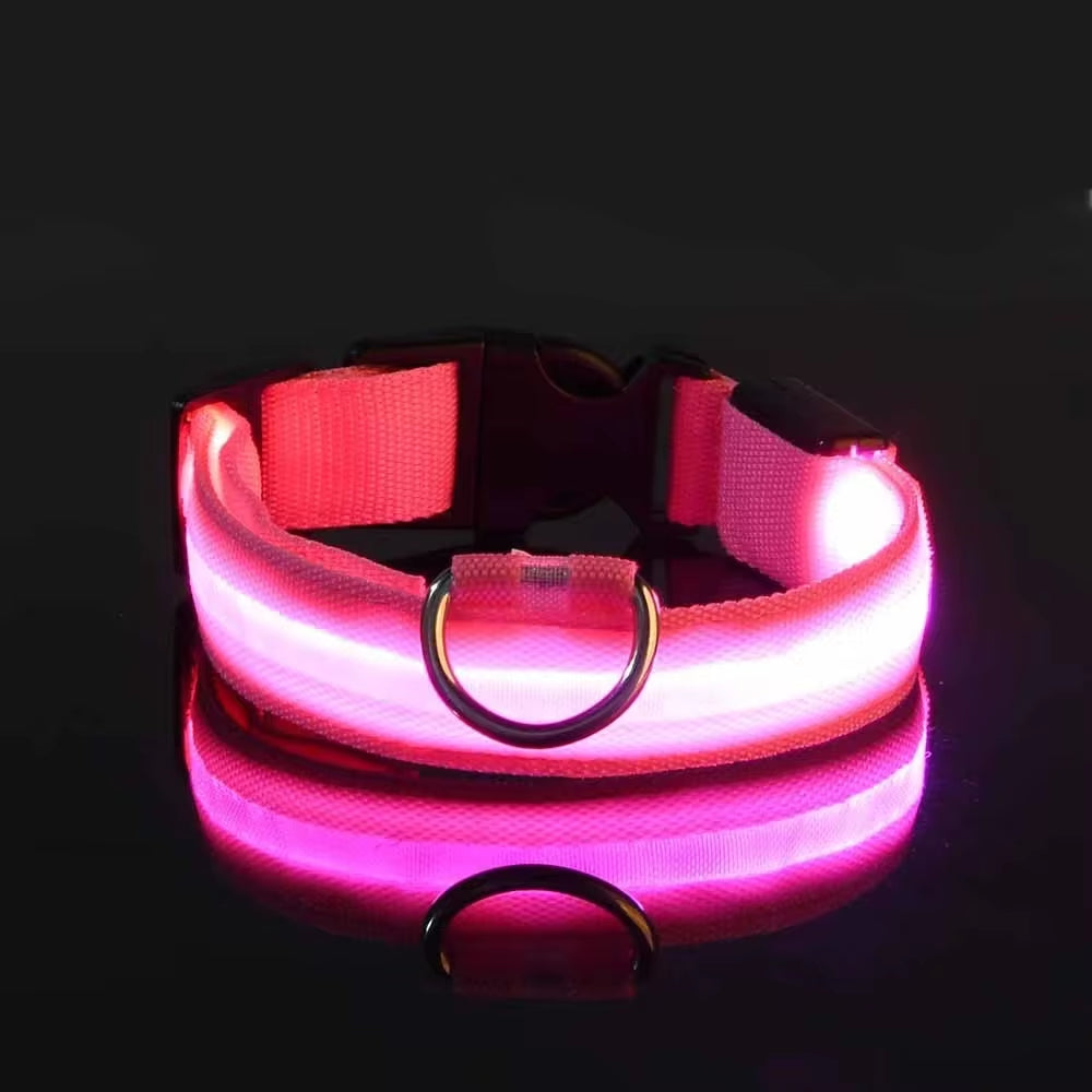 Rechargeable LED Light Up Dog Collar 