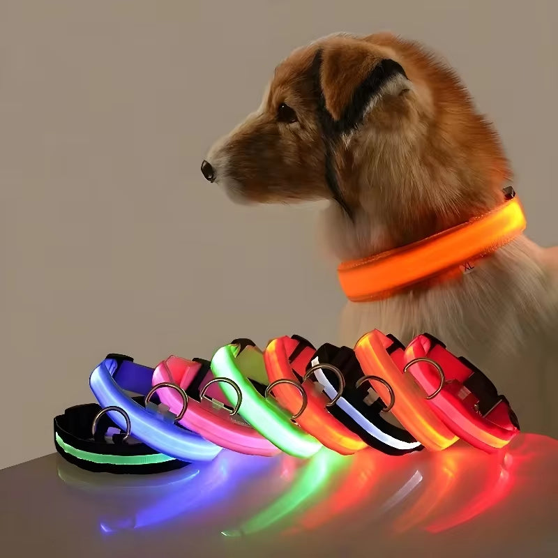 Rechargeable LED Light Up Dog Collar 