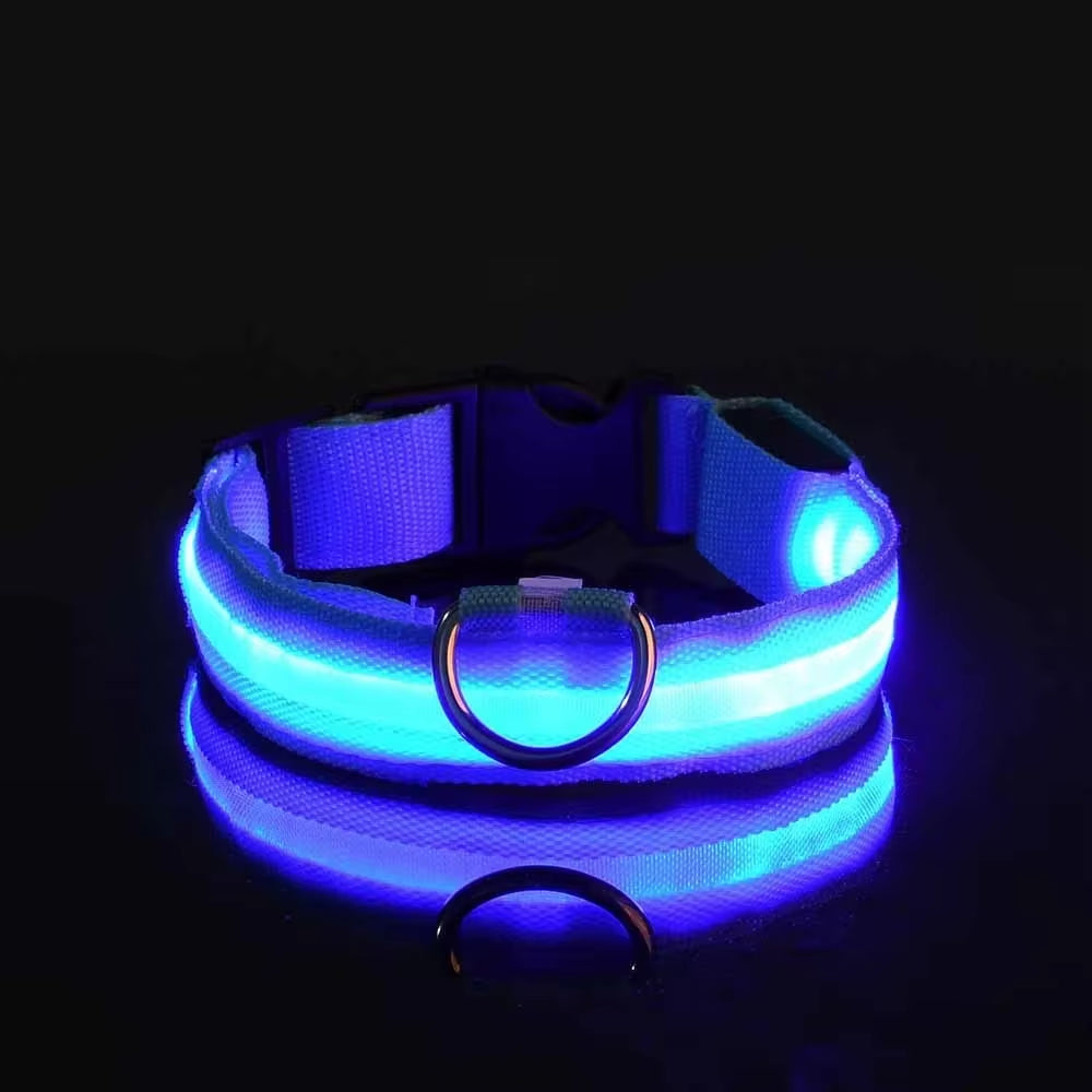 Rechargeable LED Light Up Dog Collar 