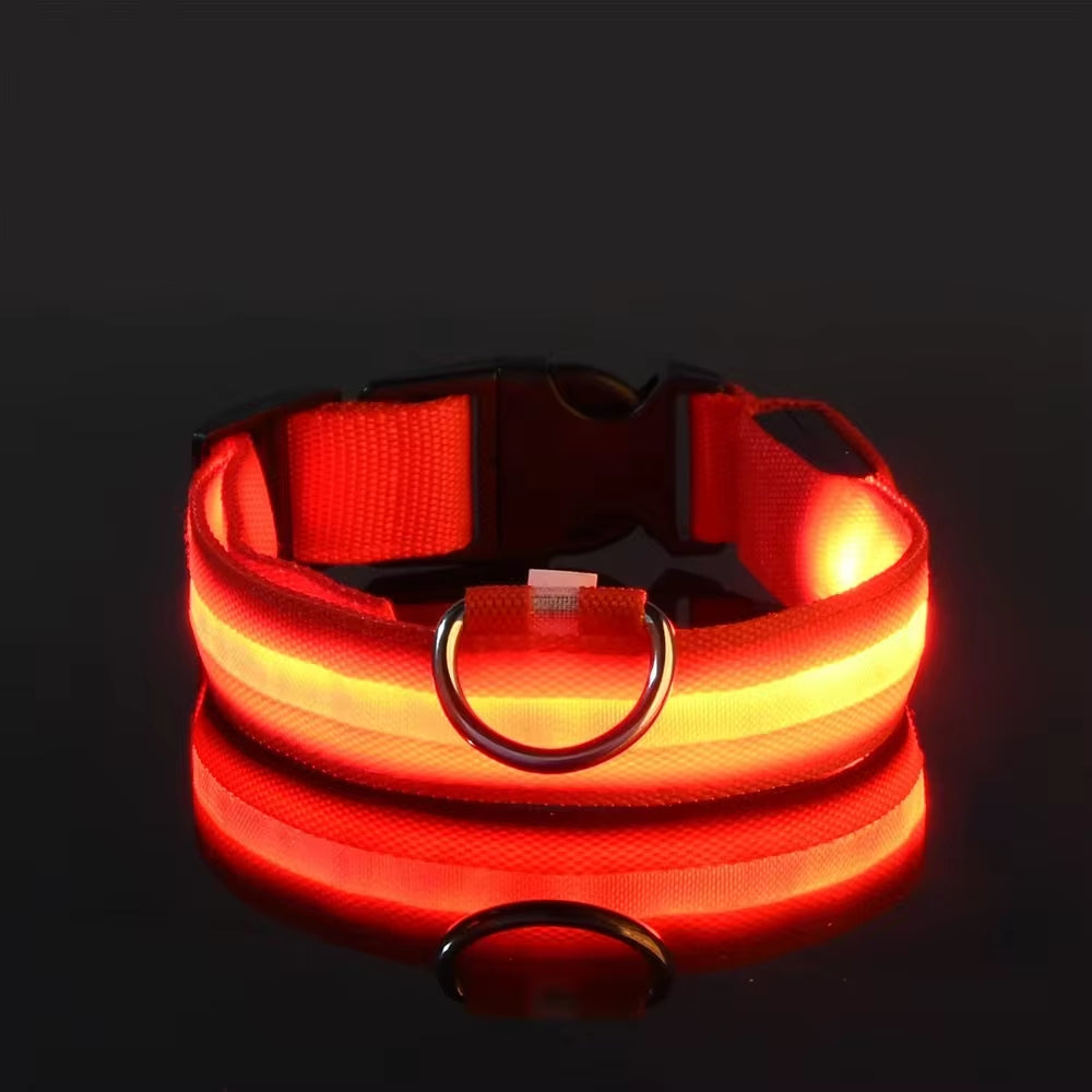 Rechargeable LED Light Up Dog Collar 