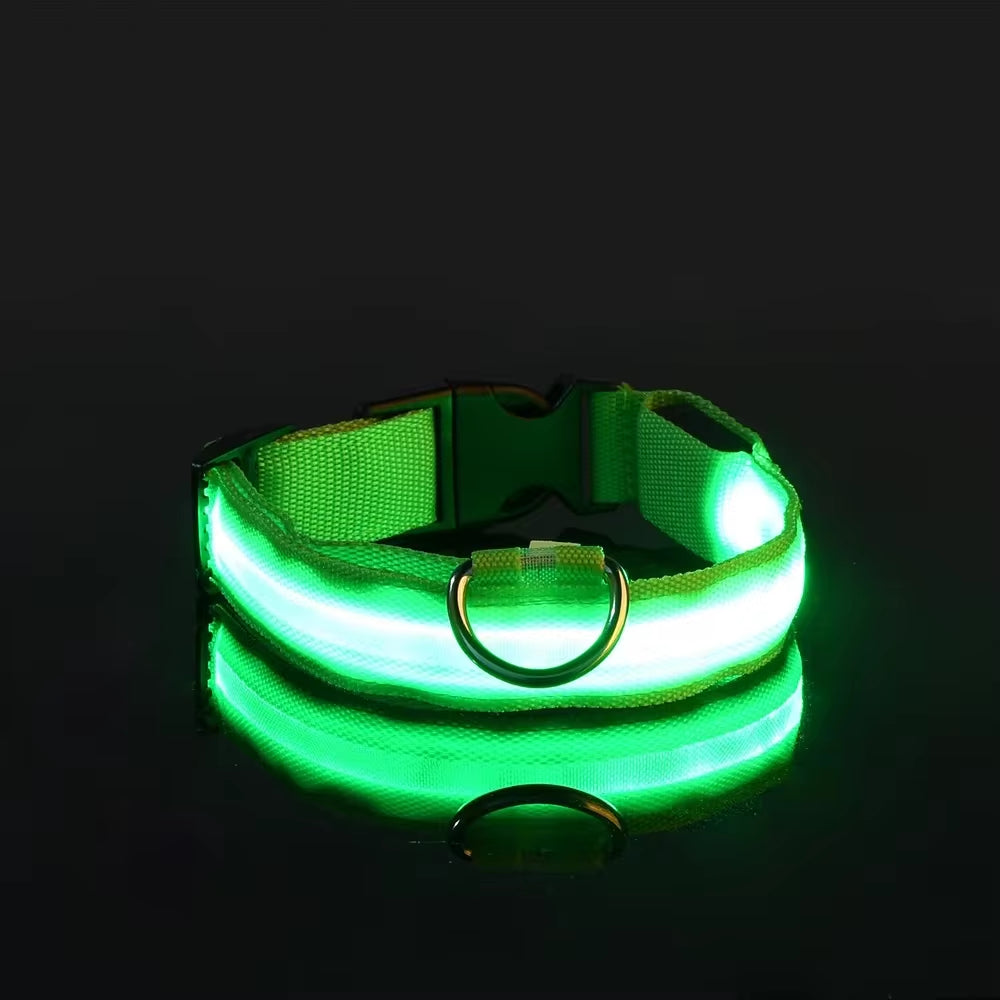 Rechargeable LED Light Up Dog Collar 