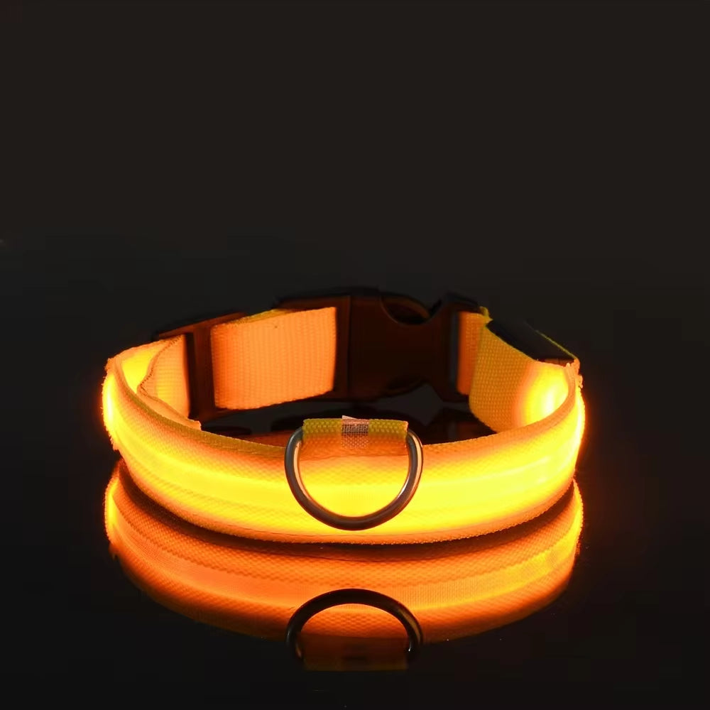 Rechargeable LED Light Up Dog Collar 