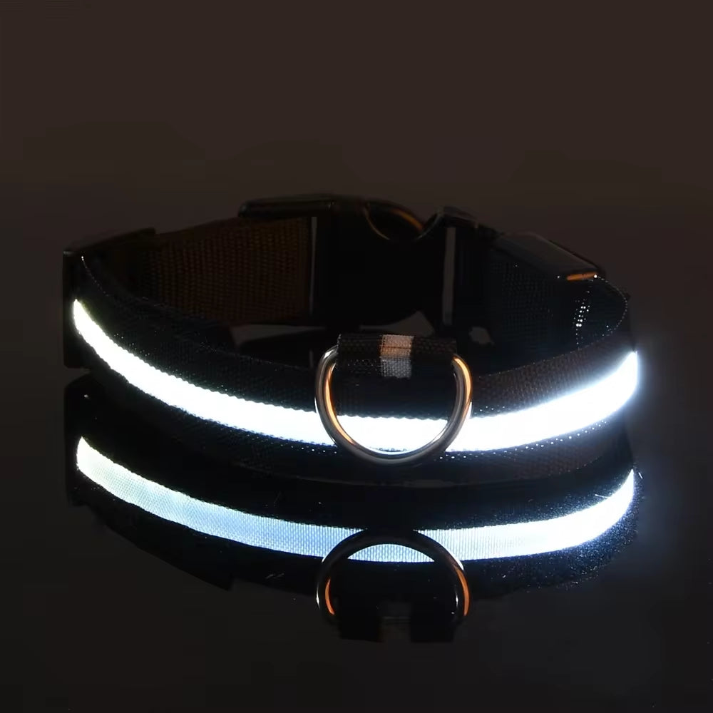 Rechargeable LED Light Up Dog Collar 