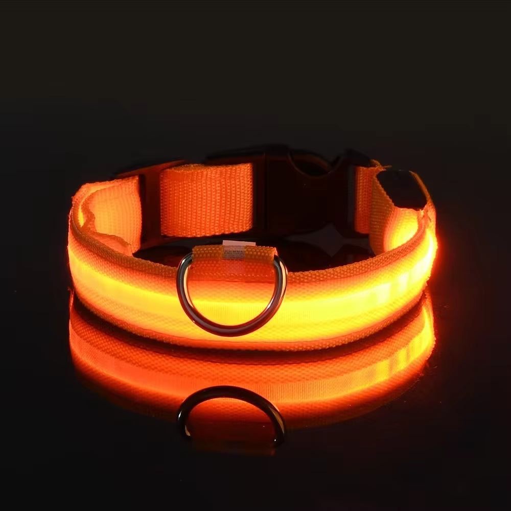 Rechargeable LED Light Up Dog Collar 