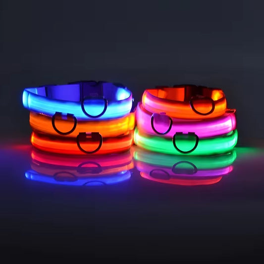 Rechargeable LED Light Up Dog Collar 